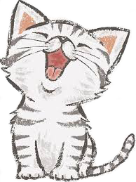 happy cat